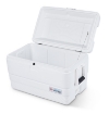 Attēls Igloo Marine Ultra 54 ledusskapis (51 litri)