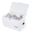 Attēls Igloo Marine Ultra 54 ledusskapis (51 litri)